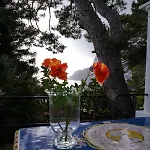 Villacore فندق مبيت وإفطار كابري