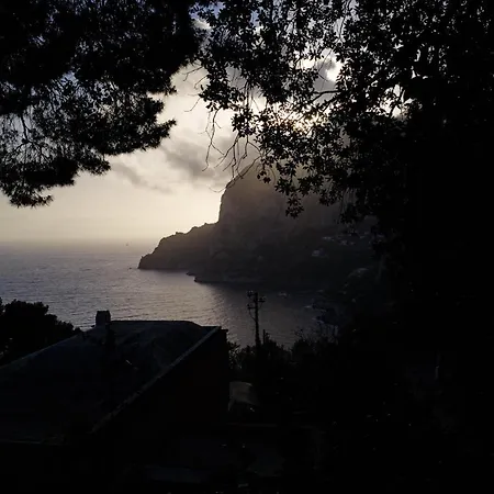 Villacore