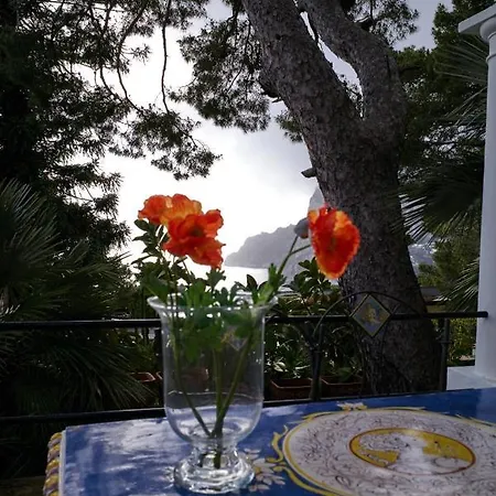 Villacore Alojamento de Acomodação e Pequeno-almoço Capri