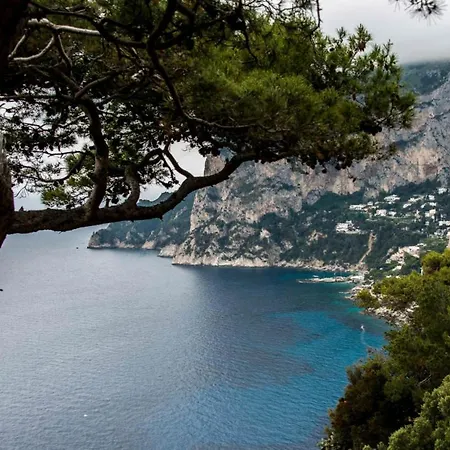 Alojamento de Acomodação e Pequeno-almoço Villacore