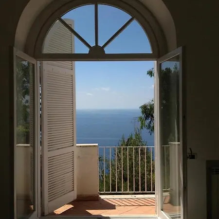 Villacore